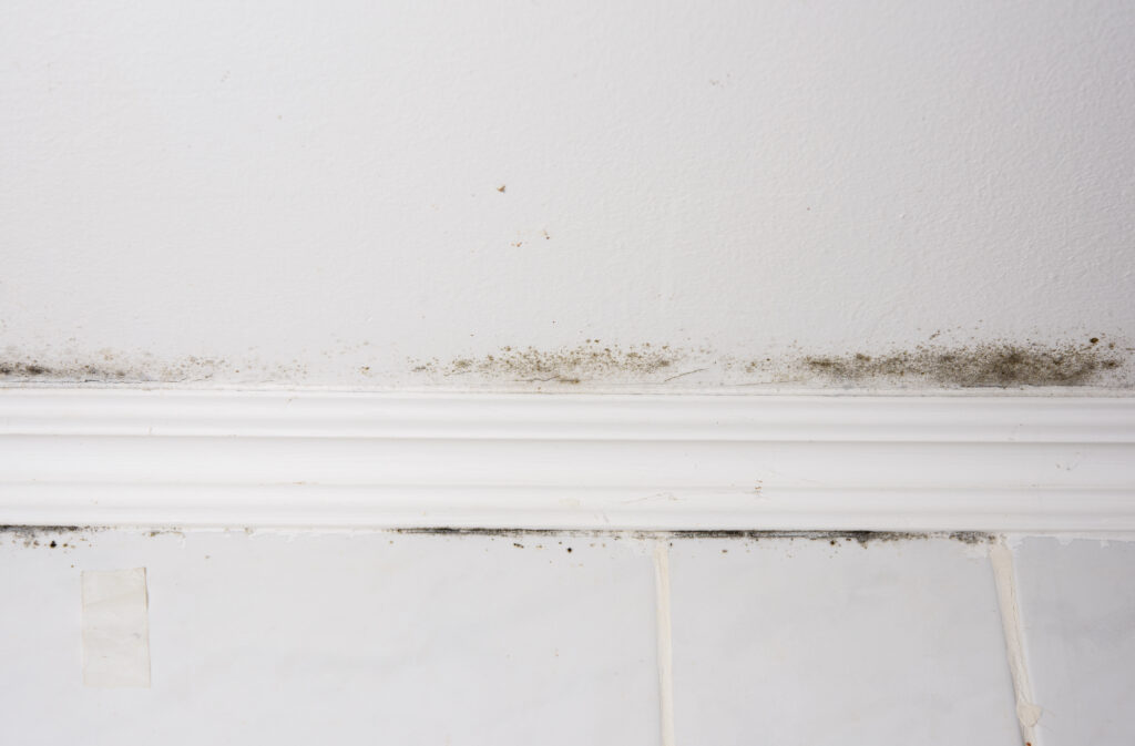 เชื้อรา เกิดจากอะไร?