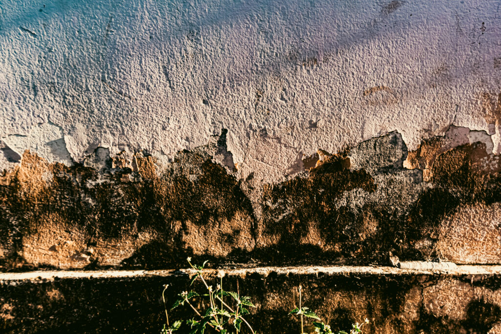 ความชื้นทำลายบ้าน