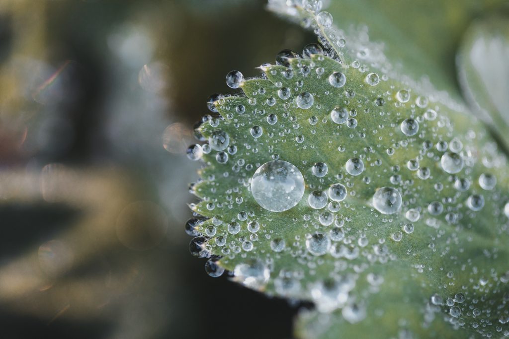 Dew Point คืออะไร